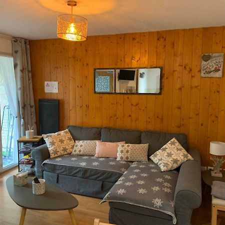 Appartement Tt Confort Au Coeur Des Montagnes Avec Vue Sur Les Montagnes Wifi 뤼생소베르 외부 사진